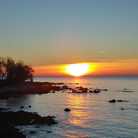 Allegria Umag Exteriör bild