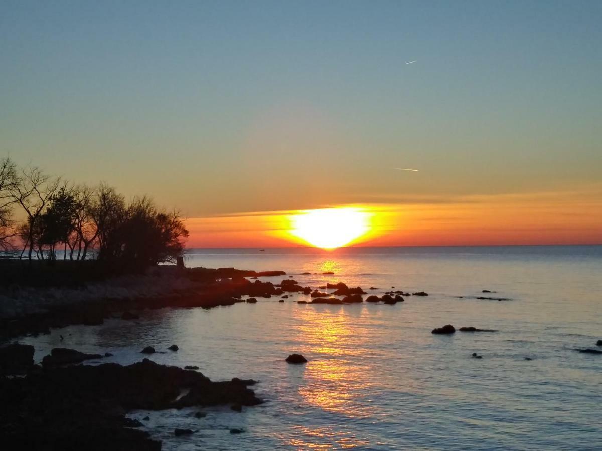 Allegria Umag Exteriör bild